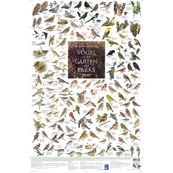 Bio-Poster "Vögel in den Gärten und Parks Europas"